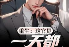 重生：这官是一天都不想当了（梁惟石唐欣怡）全章小说阅读-永恒文学