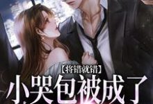 将错就错：小哭包被成了大佬心尖宠（慕汀洲姜桃）小说推荐将错就错：小哭包被成了大佬心尖宠全章小说阅读-永恒文学