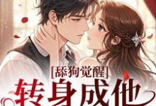 舔狗觉醒，转身成他高攀不起最新完结小说舔狗觉醒，转身成他高攀不起舒念沈晏宸免费小说-永恒文学