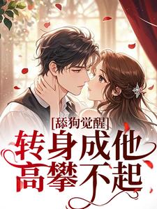 舔狗觉醒，转身成他高攀不起最新完结小说舔狗觉醒，转身成他高攀不起舒念沈晏宸免费小说