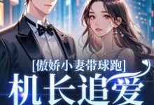 (全文)傲娇小妻带球跑，机长追爱不停歇顾予琛徐歆薇全本免费在线阅读-永恒文学