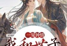 (全文)一见钟情，我和世子天生一对免费小说全本，沈如风苏云锦试读更新章节-永恒文学