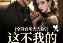 (全文)空降官场大人物？这不我的裙下臣吗(顾杳周政良)全本免费在线阅读-永恒文学