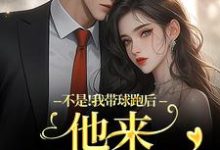 不是！我带球跑后他来强娶豪夺（周静书傅聿呈）全章小说阅读-永恒文学