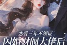 恋爱三年不领证，闪婚财阀大佬后他急疯苏婠周衍焱最新完结小说，恋爱三年不领证，闪婚财阀大佬后他急疯全本免费在线阅读-永恒文学