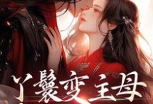 (全文)丫鬟变主母，贵少他超爱南珠沈燕白全本免费在线阅读-永恒文学