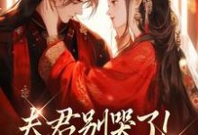 夫君别哭了！我来替你虐渣（沈婉宁韩云泽）全本书籍阅读夫君别哭了！我来替你虐渣完整版小说-永恒文学
