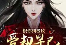 恨你到极致，爱却早已深入骨髓苏婉江忱序热门小说排行榜恨你到极致，爱却早已深入骨髓免费小说-永恒文学