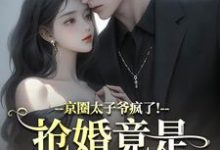 京圈太子爷疯了！抢婚竟是蓄谋已久陆妄辞虞晚颜最新完结小说，京圈太子爷疯了！抢婚竟是蓄谋已久全本免费在线阅读-永恒文学