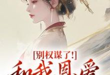 别权谋了！和我恩爱才是王道（盛西棠）全章小说阅读-永恒文学