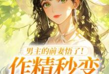 (全文)男主的前妻悟了！作精秒变粘人精许岁宁霍青山小说推荐，男主的前妻悟了！作精秒变粘人精全章小说阅读-永恒文学