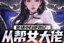 官场小白逆袭记：从帮女大佬开始推荐完结小说，官场小白逆袭记：从帮女大佬开始唐诚李文静免费小说全本-永恒文学