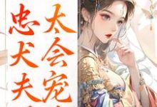 (全文)娇妾：忠犬夫君，太会宠！免费小说全本，慕南宸姜铭烟试读更新章节-永恒文学