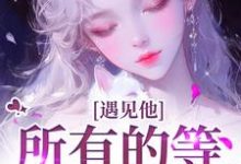 遇见他，所有的等待都值得（夏颜谭正东）全章小说阅读-永恒文学