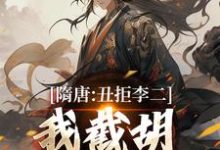 隋唐：丑拒李二，我截胡众枭雄（李渊吴缺）全章小说阅读-永恒文学