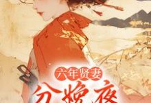 六年贤妻，分娩夜心死换和离姜玉筝沈宴沉完结小说推荐，六年贤妻，分娩夜心死换和离全章小说阅读-永恒文学