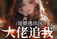 退婚逃出国，大佬追我满世界跑江野崎楚灵兮完结小说推荐退婚逃出国，大佬追我满世界跑全本书籍阅读-永恒文学