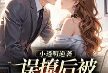 小透明逆袭许惟昭方肃礼热门小说排行榜小透明逆袭免费小说-永恒文学