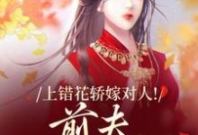 上错花轿嫁对人完整版小说上错花轿嫁对人(萧念窈陆奉行)全章小说阅读-永恒文学