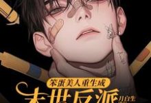 (全文)笨蛋美人重生成末世反派的男友后（沈绵叶瑾修）免费小说笨蛋美人重生成末世反派的男友后试读更新章节-永恒文学