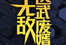 无敌医武废婿热门小说排行榜无敌医武废婿秦铭免费小说全本-永恒文学