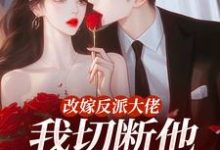 改嫁反派大佬，我切断他黑化根源！推荐完结小说改嫁反派大佬，我切断他黑化根源！(江知微萧著)免费小说全本-永恒文学