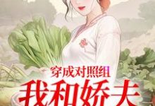 穿成对照组，我和娇夫杀疯了秦晏姜清妤最新完结小说，穿成对照组，我和娇夫杀疯了全本免费在线阅读-永恒文学