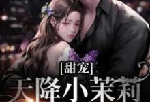 甜宠：天降小茉莉住进了我家沈津南林听热门小说排行榜甜宠：天降小茉莉住进了我家免费小说-永恒文学