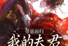 带崽而归，我的夫君是陛下推荐完结小说，带崽而归，我的夫君是陛下云挽景宣帝免费小说全本-永恒文学
