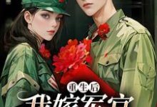 (全文)重生后我嫁军官享蜜宠（乔江心）免费小说重生后我嫁军官享蜜宠试读更新章节-永恒文学