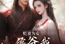 贬妻为妾，侯爷我不伺候啦完整版小说，贬妻为妾，侯爷我不伺候啦慎如余启试读更新章节-永恒文学