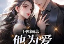 闪婚霸总，他为爱抛弃一切苏绿柔厉墨焱免费小说闪婚霸总，他为爱抛弃一切推荐完结小说-永恒文学