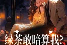 绿茶敢暗算我？姐分分钟让你哭裴瑾珩孟听禾热门小说排行榜绿茶敢暗算我？姐分分钟让你哭免费小说-永恒文学
