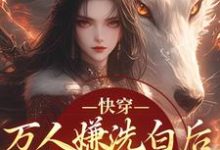 快穿：万人嫌洗白后成香饽饽了林观贞裴钧热门小说排行榜快穿：万人嫌洗白后成香饽饽了免费小说-永恒文学