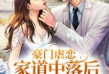 (全文)豪门虐恋：家道中落后我提出离婚了萧丛南傅烬如最新完结小说豪门虐恋：家道中落后我提出离婚了免费小说全本-永恒文学