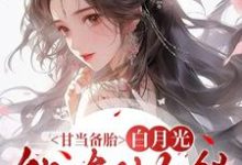 甘当备胎,白月光能有什么错热门小说排行榜甘当备胎,白月光能有什么错沈青榕免费小说全本-永恒文学