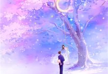 被退婚后，我撩了顶级大佬最新完结小说被退婚后，我撩了顶级大佬苏雾析免费小说-永恒文学