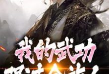 (全文)完了！我的武功强过全族人（林枫）全本书籍阅读完了！我的武功强过全族人免费小说全本-永恒文学