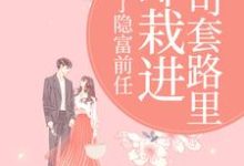 (全文)甩了隐富前任，却栽进上司套路里热门小说排行榜，甩了隐富前任，却栽进上司套路里林昭全章小说阅读-永恒文学