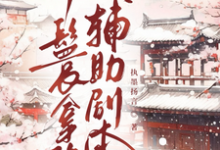 丫鬟拿稳辅助剧本（傅初霁）小说推荐丫鬟拿稳辅助剧本全章小说阅读-永恒文学