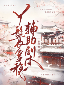 丫鬟拿稳辅助剧本傅初霁完结小说推荐，丫鬟拿稳辅助剧本全章小说阅读