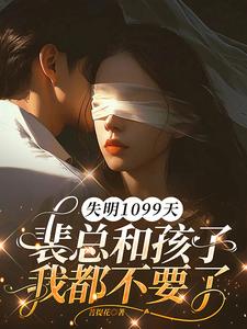 失明1099天，裴总和孩子我都不要了（谢南枝）小说推荐失明1099天，裴总和孩子我都不要了全章小说阅读