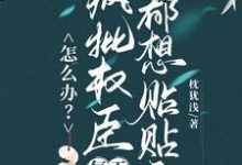 (全文)怎么办？疯批权臣每天都想贴贴我顾轻舟完结小说推荐怎么办？疯批权臣每天都想贴贴我试读更新章节-永恒文学