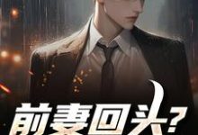(全文)前妻回头?可惜,迟了!热门小说排行榜,前妻回头?可惜,迟了!秦风全章小说阅读-永恒文学