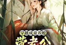(全文)穿越成童养媳，带老公荒年发大财林十七最新完结小说穿越成童养媳，带老公荒年发大财免费小说全本-永恒文学