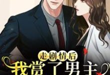走剧情后，我赏了男主三个巴掌练手（江淮宁）全本书籍阅读走剧情后，我赏了男主三个巴掌练手完整版小说-永恒文学