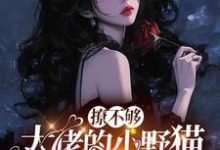 撩不够，大佬的小野猫又欲又嚣张热门小说排行榜撩不够，大佬的小野猫又欲又嚣张陆晨矅免费小说全本-永恒文学