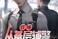 官场：从基层辅警开始崛起王初一热门小说排行榜官场：从基层辅警开始崛起免费小说-永恒文学