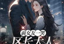 谢颂安许逢秋前女友一哭,区长大人立刻后悔了全本免费在线阅读-永恒文学