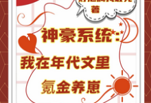 神豪系统：我在年代文里氪金养崽（叶晓琳）全本书籍阅读神豪系统：我在年代文里氪金养崽完整版小说-永恒文学